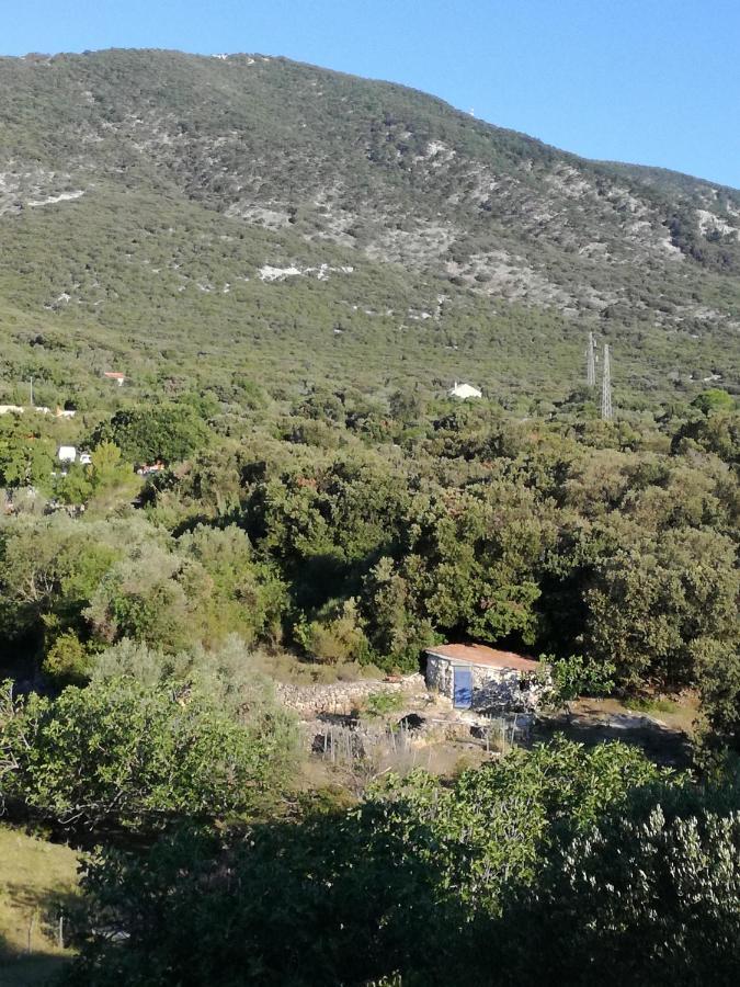 Apartman Mi Nerezine Esterno foto