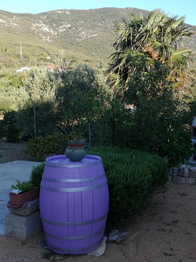 Apartman Mi Nerezine Esterno foto