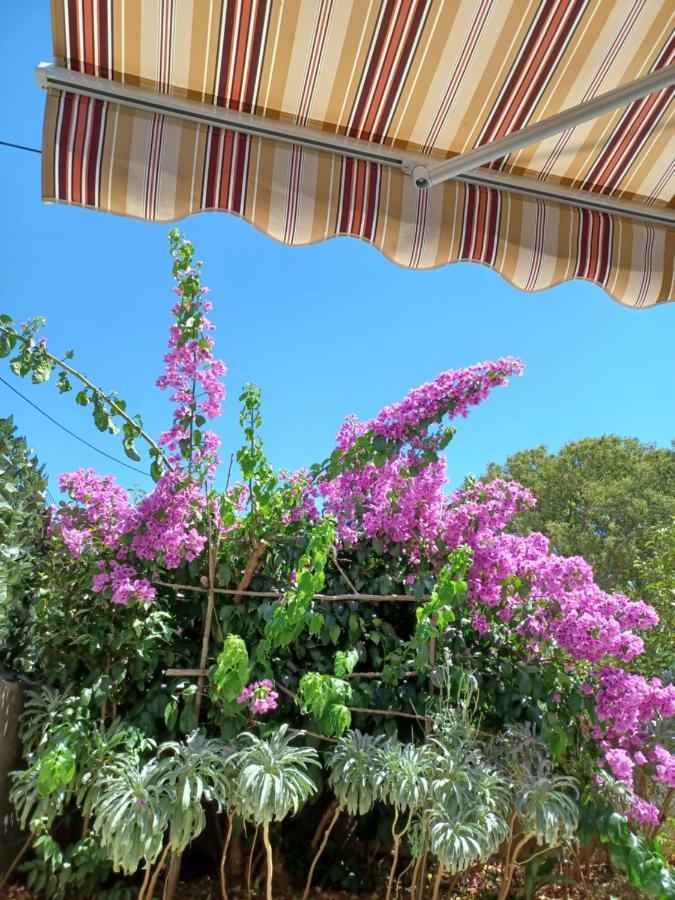 Apartman Mi Nerezine Esterno foto